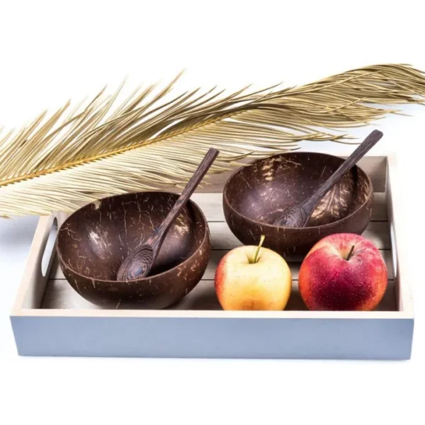 🥥 Coconi | Real Coconut Bowls for Real Families - Image 3